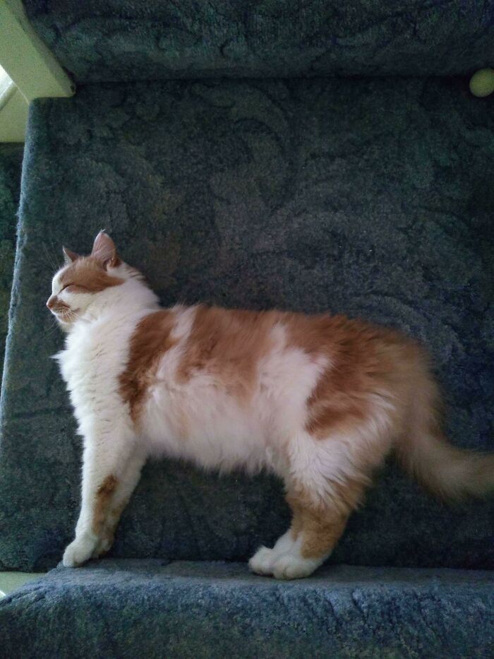 ‘Mildly Interesting’: An Online Group Exploring The Weird And Wonderful Side Of Everyday Life (50 New Pics)