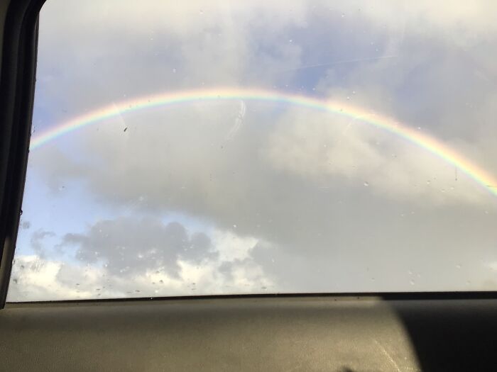 Hey Pandas, Post Images That Would Make You Feel Positive (Closed) Hey Pandas, Post Images That Would Make You Feel Positive (Closed)