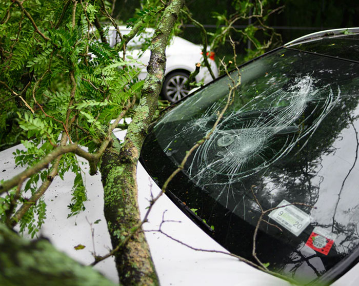 People Are Sharing Cases Of The “Butterfly Effect” Happening In Real Life (40 Stories) People Are Sharing Cases Of The “Butterfly Effect” Happening In Real Life (40 Stories)