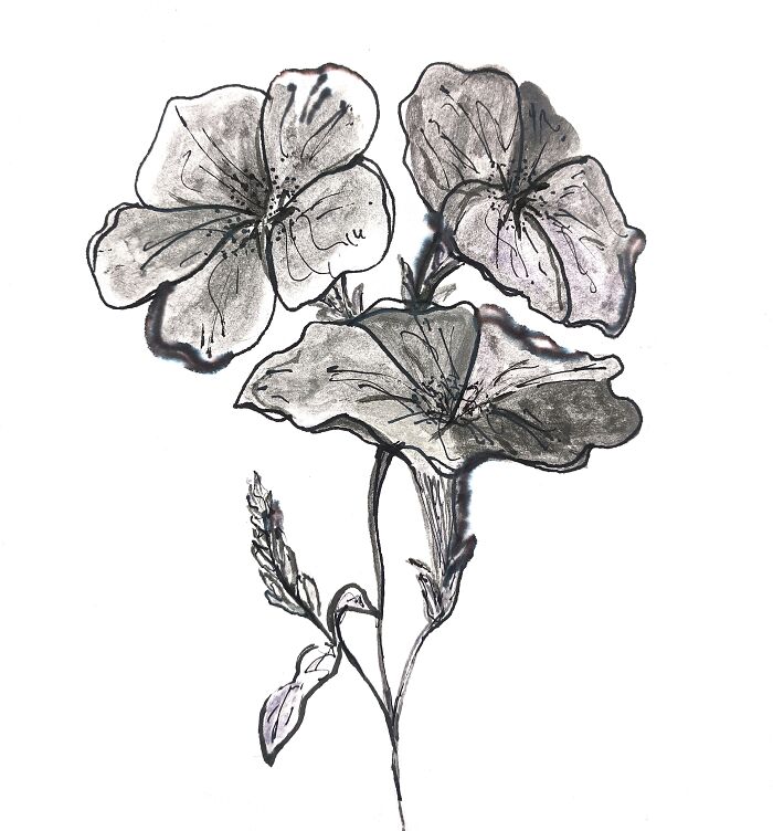 Hey Pandas, Post A Watercolor Painting You Are Proud Of (Closed) Hey Pandas, Post A Watercolor Painting You Are Proud Of (Closed)