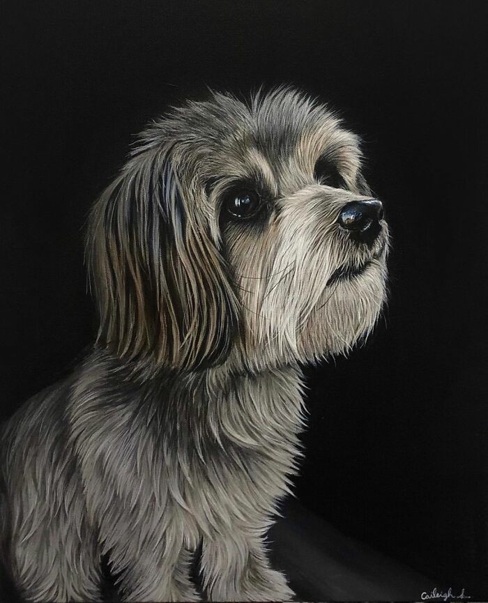 My Daughter Creates Hyper-Realistic Animal Portraits (30 Pics) My Daughter Creates Hyper-Realistic Animal Portraits (30 Pics)