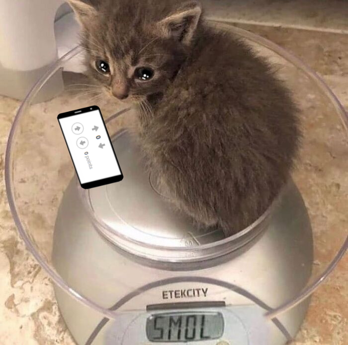 Hey Pandas, Photoshop This Kitten (Closed) Hey Pandas, Photoshop This Kitten (Closed)