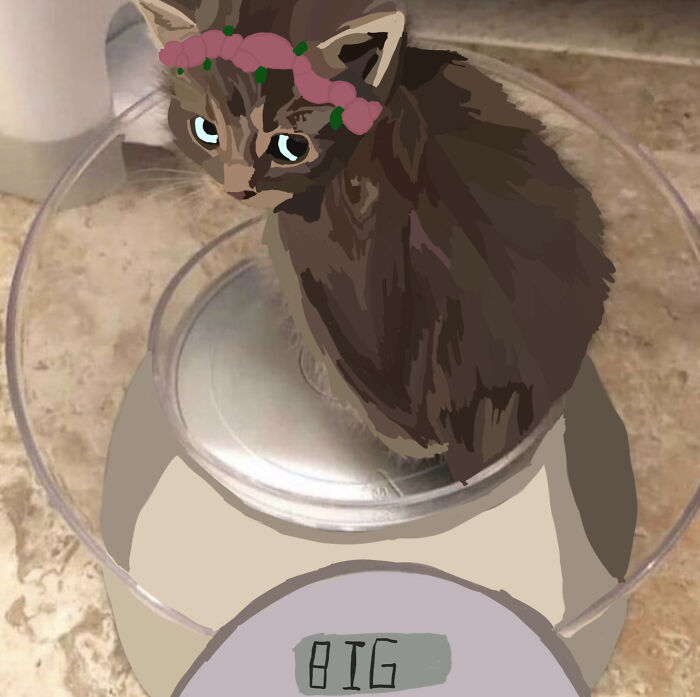 Hey Pandas, Photoshop This Kitten (Closed) Hey Pandas, Photoshop This Kitten (Closed)