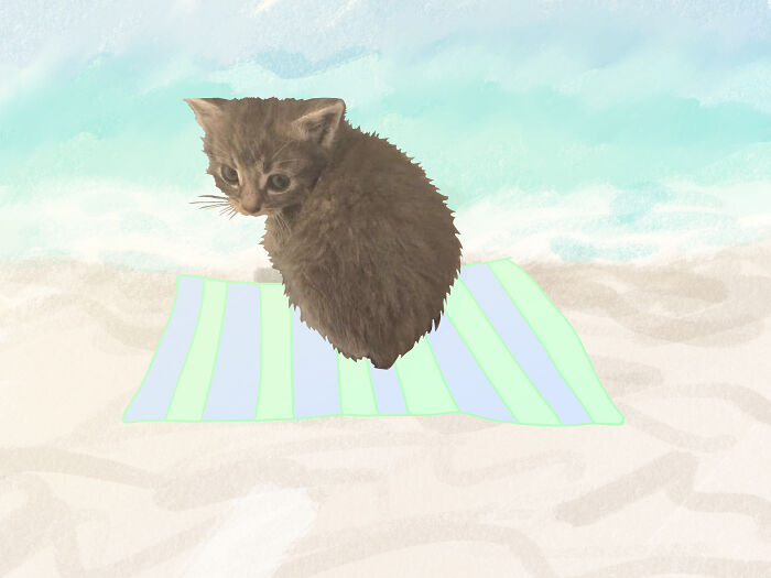 Hey Pandas, Photoshop This Kitten (Closed) Hey Pandas, Photoshop This Kitten (Closed)