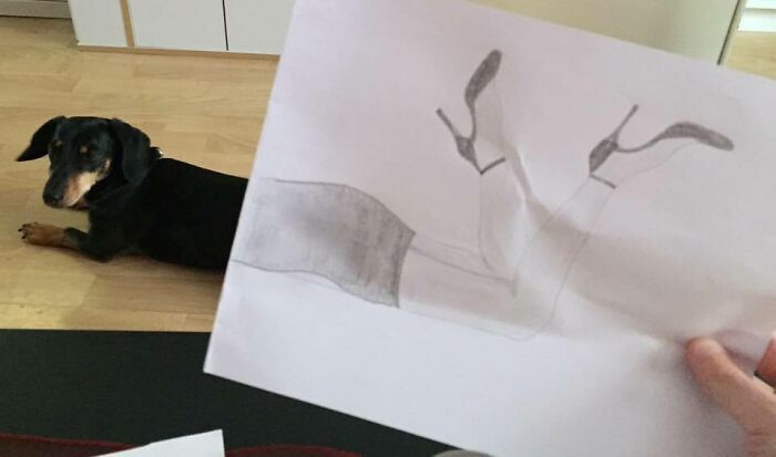 Hey Pandas, Take A Picture Of Your Pet And Draw The Other Half On A Piece Of Paper (Closed)