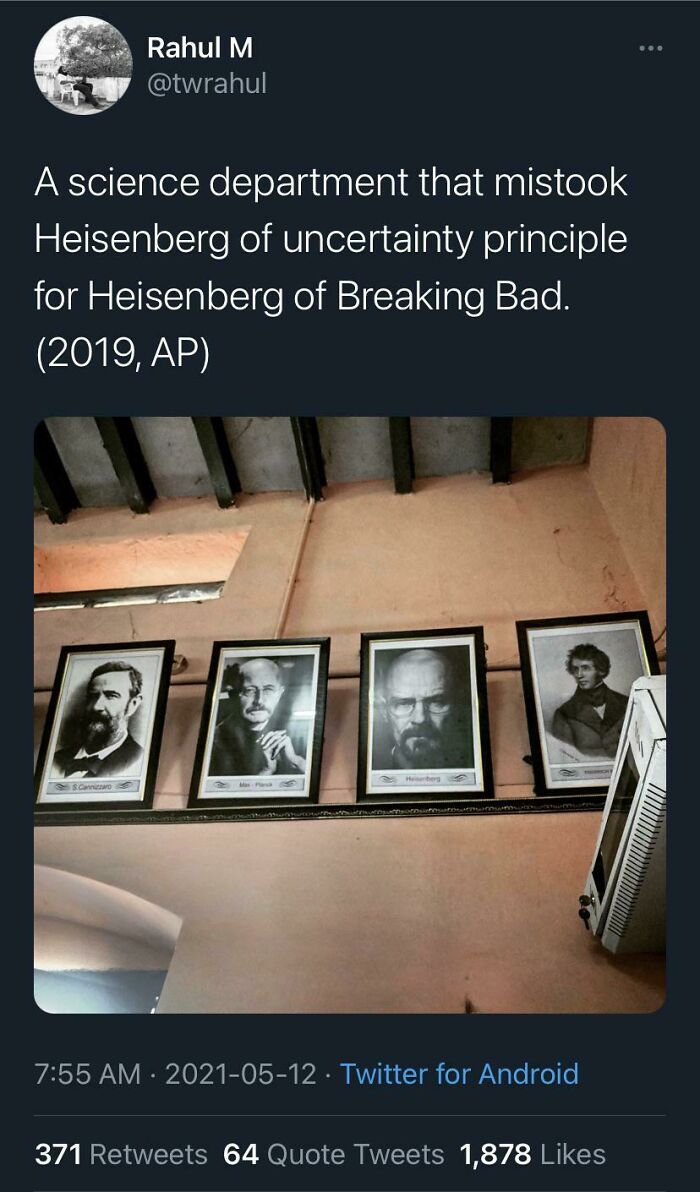 40 Times People Cheated The System By Acting Like They Belong 40 Times People Cheated The System By Acting Like They Belong