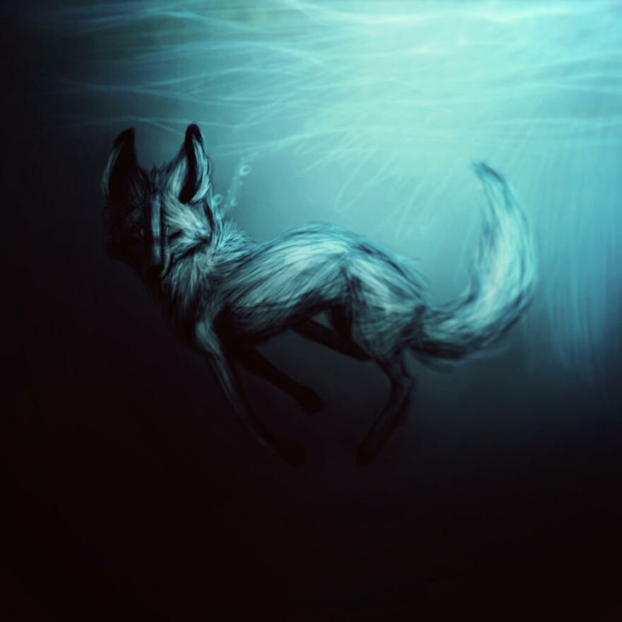 I Make Digital Animal Portraits In My Simple Yet Unique Art Style I Make Digital Animal Portraits In My Simple Yet Unique Art Style