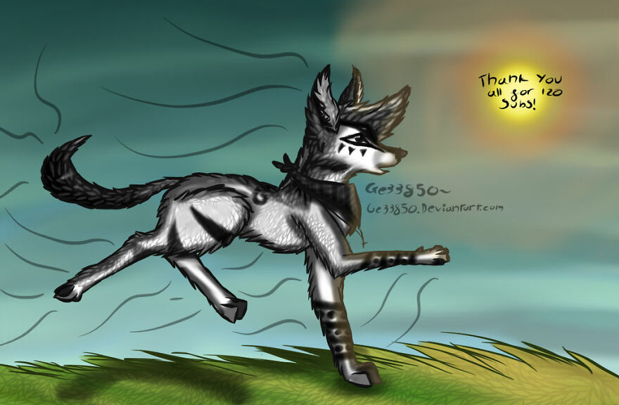 I Make Digital Animal Portraits In My Simple Yet Unique Art Style I Make Digital Animal Portraits In My Simple Yet Unique Art Style