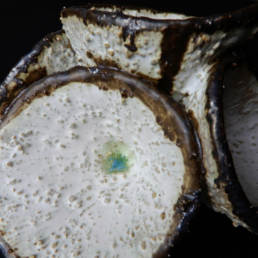 I Made Unique Ceramics Inspired By Nature I Made Unique Ceramics Inspired By Nature