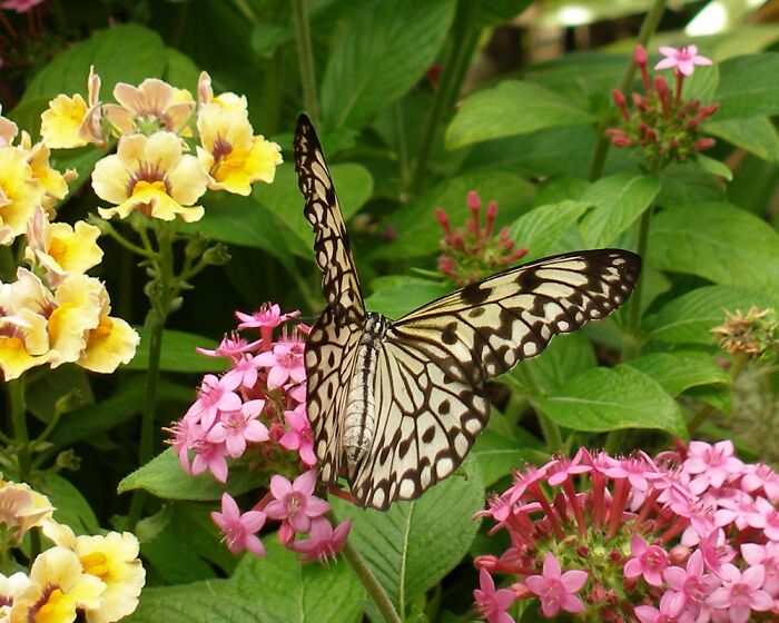 Hey Pandas, Post Some Of Your Photography (Closed) Hey Pandas, Post Some Of Your Photography (Closed)