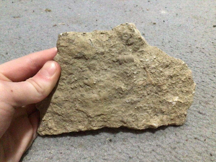 I Have Created A Museum Out Of Artifacts That I Find Around The World And You Have Free Tickets To Look At It I Have Created A Museum Out Of Artifacts That I Find Around The World And You Have Free Tickets To Look At It