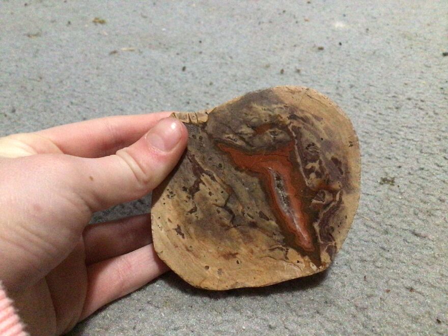 I Have Created A Museum Out Of Artifacts That I Find Around The World And You Have Free Tickets To Look At It I Have Created A Museum Out Of Artifacts That I Find Around The World And You Have Free Tickets To Look At It