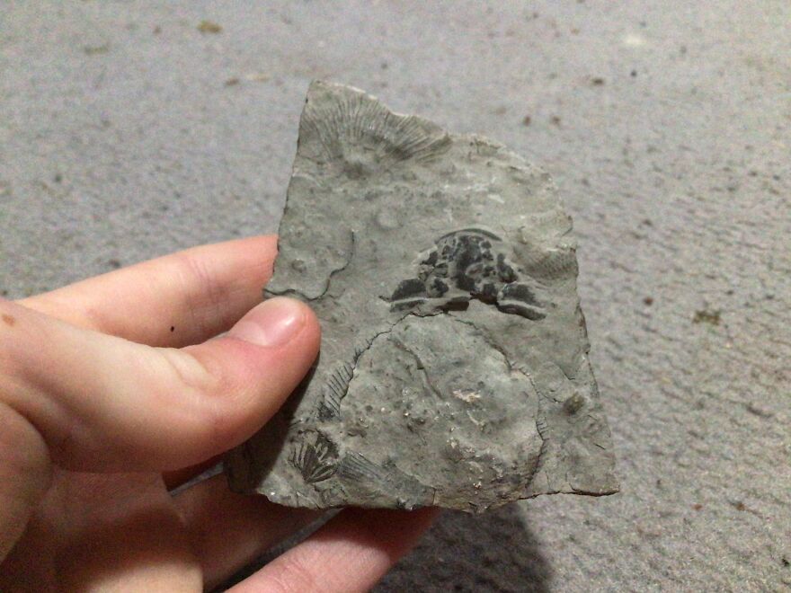 I Have Created A Museum Out Of Artifacts That I Find Around The World And You Have Free Tickets To Look At It I Have Created A Museum Out Of Artifacts That I Find Around The World And You Have Free Tickets To Look At It