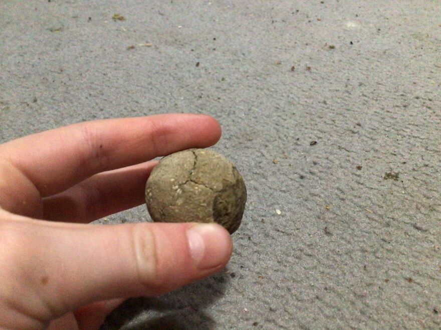 I Have Created A Museum Out Of Artifacts That I Find Around The World And You Have Free Tickets To Look At It I Have Created A Museum Out Of Artifacts That I Find Around The World And You Have Free Tickets To Look At It