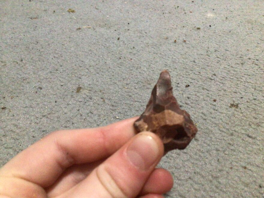 I Have Created A Museum Out Of Artifacts That I Find Around The World And You Have Free Tickets To Look At It I Have Created A Museum Out Of Artifacts That I Find Around The World And You Have Free Tickets To Look At It