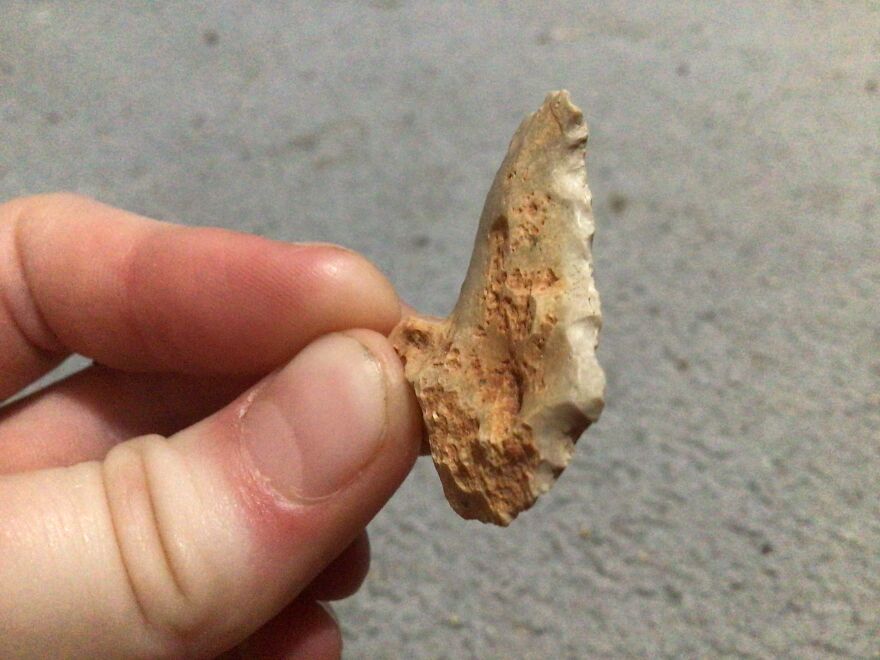 I Have Created A Museum Out Of Artifacts That I Find Around The World And You Have Free Tickets To Look At It I Have Created A Museum Out Of Artifacts That I Find Around The World And You Have Free Tickets To Look At It