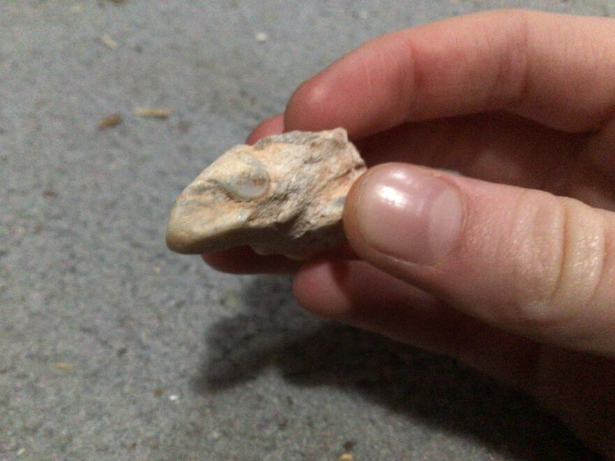 I Have Created A Museum Out Of Artifacts That I Find Around The World And You Have Free Tickets To Look At It I Have Created A Museum Out Of Artifacts That I Find Around The World And You Have Free Tickets To Look At It