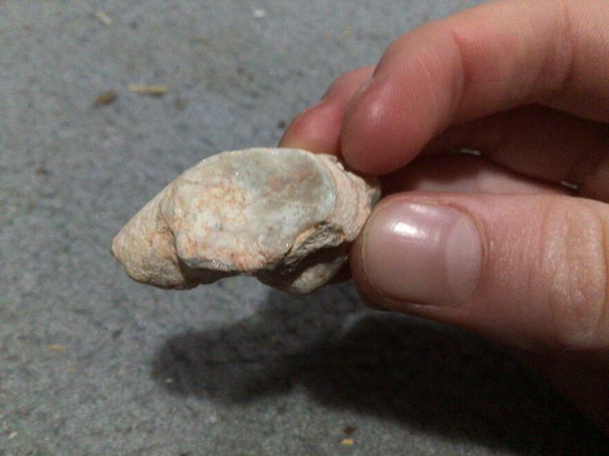 I Have Created A Museum Out Of Artifacts That I Find Around The World And You Have Free Tickets To Look At It I Have Created A Museum Out Of Artifacts That I Find Around The World And You Have Free Tickets To Look At It