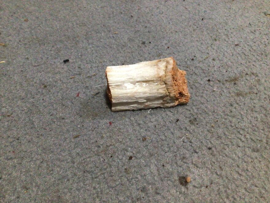 I Have Created A Museum Out Of Artifacts That I Find Around The World And You Have Free Tickets To Look At It I Have Created A Museum Out Of Artifacts That I Find Around The World And You Have Free Tickets To Look At It