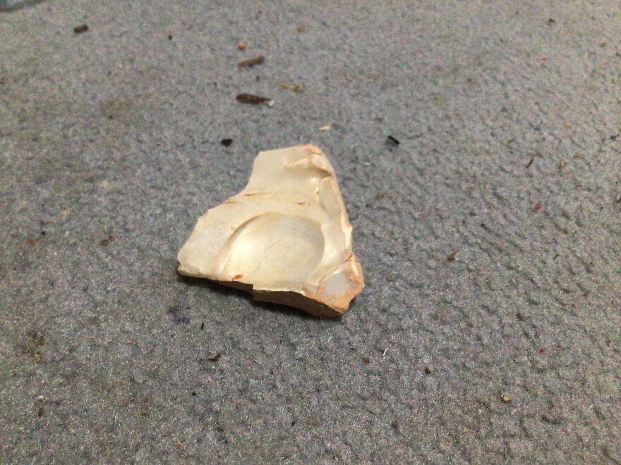 I Have Created A Museum Out Of Artifacts That I Find Around The World And You Have Free Tickets To Look At It I Have Created A Museum Out Of Artifacts That I Find Around The World And You Have Free Tickets To Look At It