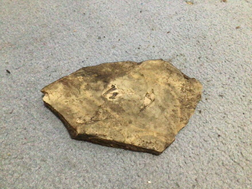 I Have Created A Museum Out Of Artifacts That I Find Around The World And You Have Free Tickets To Look At It I Have Created A Museum Out Of Artifacts That I Find Around The World And You Have Free Tickets To Look At It