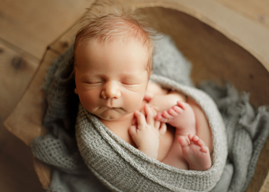 I Photographed These Newborns Recently I Photographed These Newborns Recently
