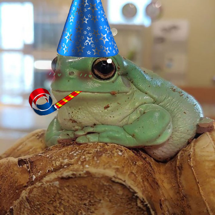 Hey Pandas, Photoshop The Froggo (Closed) Hey Pandas, Photoshop The Froggo (Closed)