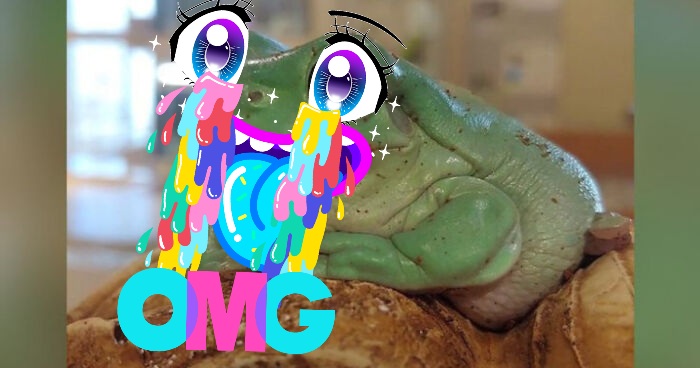 Hey Pandas, Photoshop The Froggo (Closed)