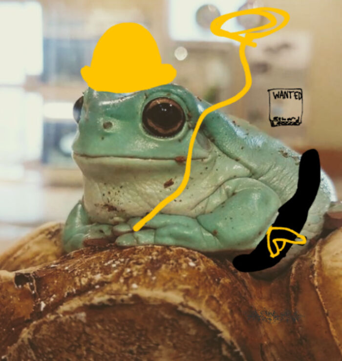 Hey Pandas, Photoshop The Froggo (Closed) Hey Pandas, Photoshop The Froggo (Closed)