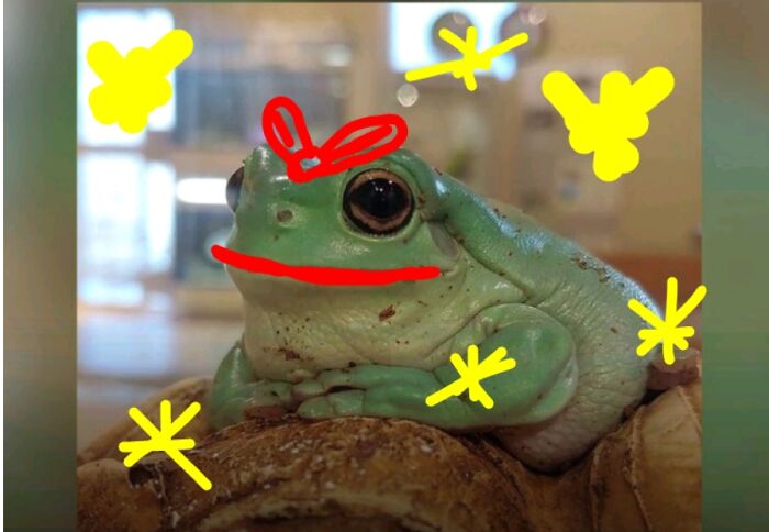 Hey Pandas, Photoshop The Froggo (Closed) Hey Pandas, Photoshop The Froggo (Closed)