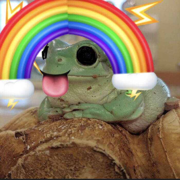 Hey Pandas, Photoshop The Froggo (Closed) Hey Pandas, Photoshop The Froggo (Closed)