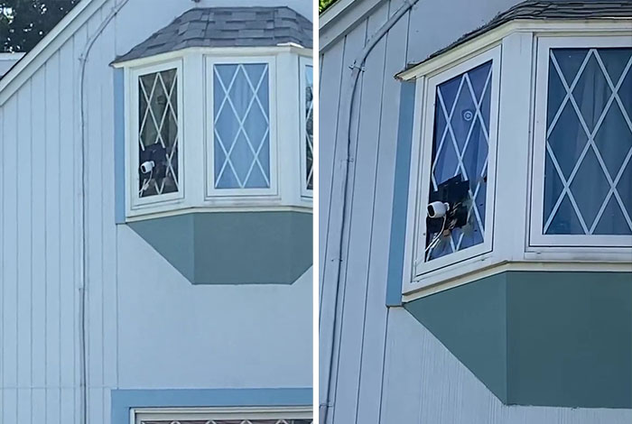 “She Called The Police And They Laughed”: Couple Hang Laundry Line To Block Neighbor’s View Of Their Home After She Installs 5 Cameras “She Called The Police And They Laughed”: Couple Hang Laundry Line To Block Neighbor’s View Of Their Home After She Installs 5 Cameras
