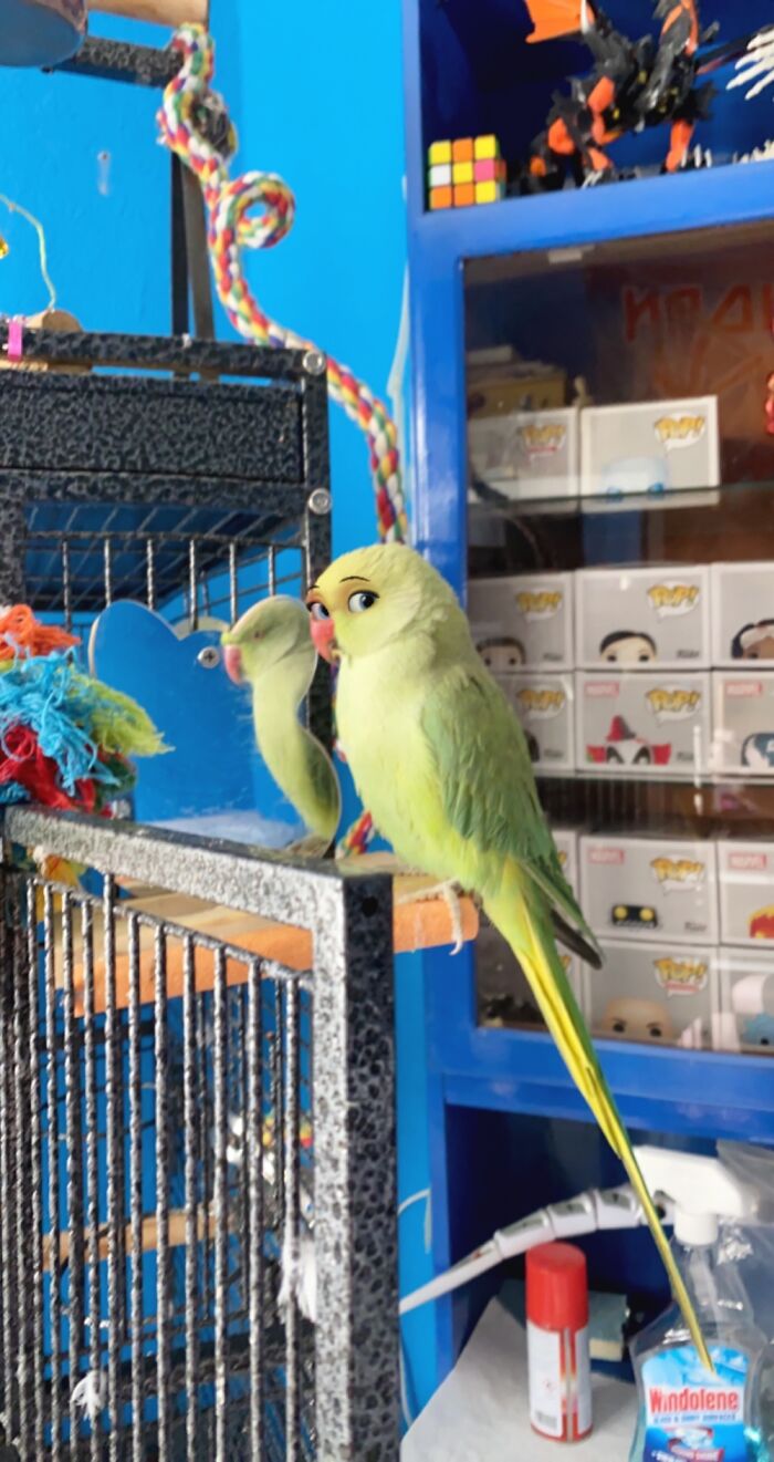 Hey Pandas, Post The Funniest Picture Of Your Pet With A Filter On (Closed) Hey Pandas, Post The Funniest Picture Of Your Pet With A Filter On (Closed)