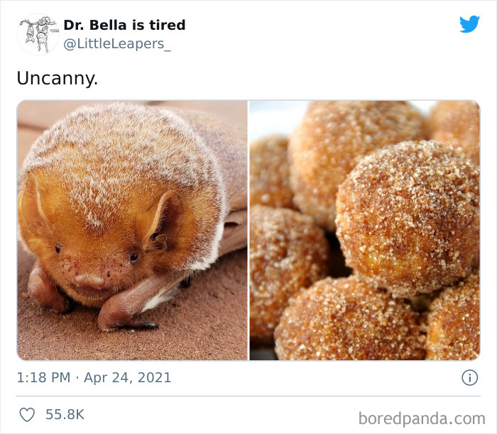 40 ‘Forbidden Food’ Examples You Shouldn’t Ever Eat (New Pics) 40 ‘Forbidden Food’ Examples You Shouldn’t Ever Eat (New Pics)