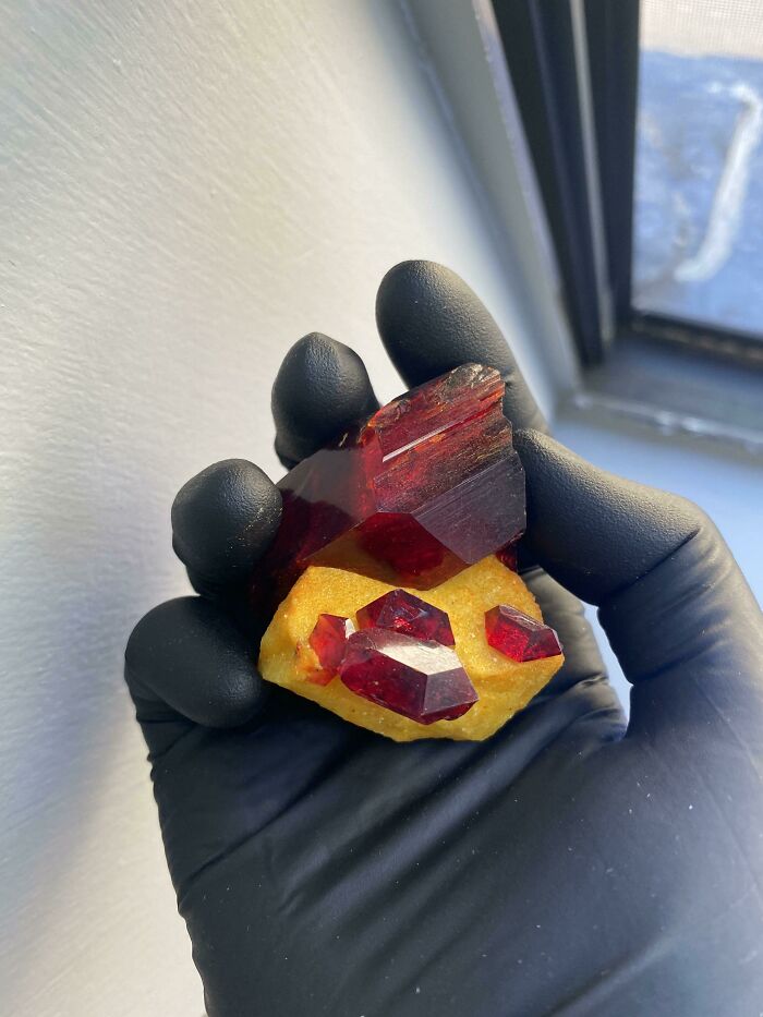 40 ‘Forbidden Food’ Examples You Shouldn’t Ever Eat (New Pics) 40 ‘Forbidden Food’ Examples You Shouldn’t Ever Eat (New Pics)