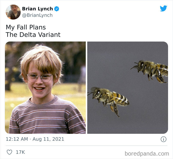 The “My Fall Plans Vs. The Delta Variant” Is The Saddest, Most Relevant Meme On The Internet Right Now The “My Fall Plans Vs. The Delta Variant” Is The Saddest, Most Relevant Meme On The Internet Right Now