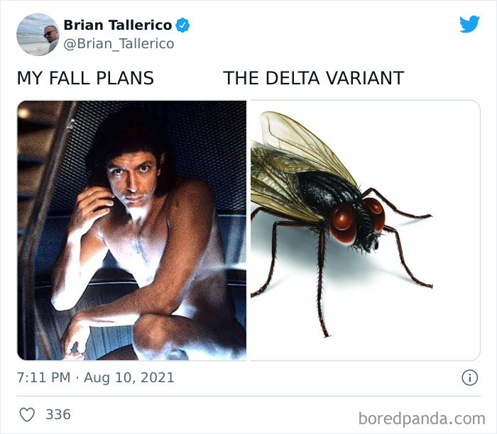 The “My Fall Plans Vs. The Delta Variant” Is The Saddest, Most Relevant Meme On The Internet Right Now The “My Fall Plans Vs. The Delta Variant” Is The Saddest, Most Relevant Meme On The Internet Right Now