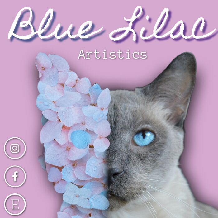 Hey Pandas, Create A Logo For An Imaginary Company (Closed) Hey Pandas, Create A Logo For An Imaginary Company (Closed)