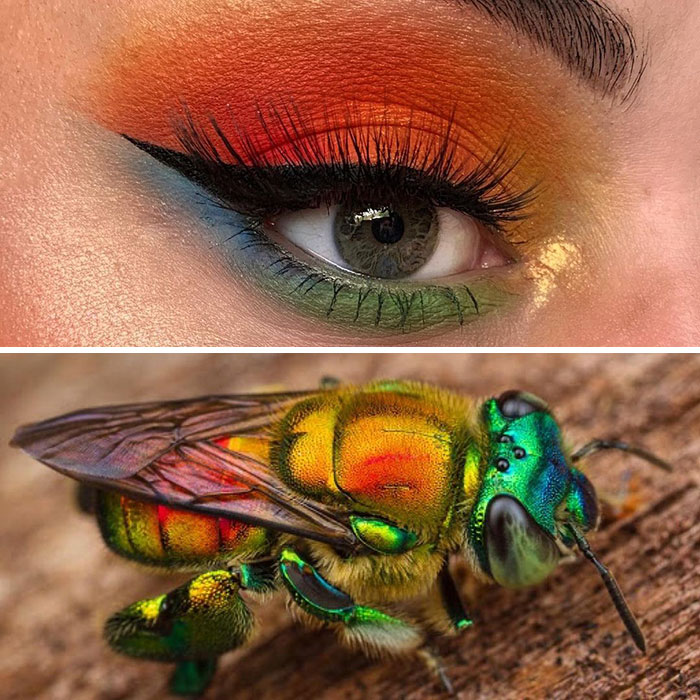 Artist Shows The Beauty Of Insects With Her 30 Matching Eye Makeup Looks Artist Shows The Beauty Of Insects With Her 30 Matching Eye Makeup Looks