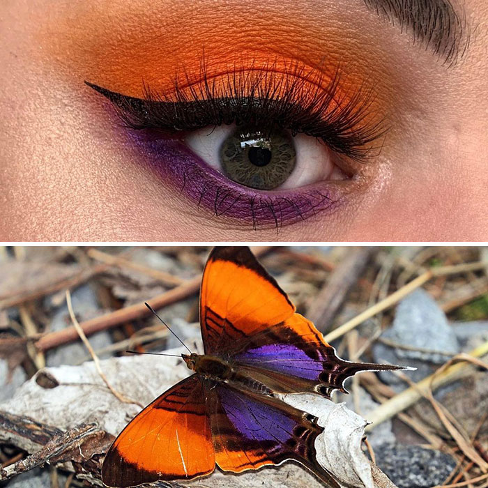 Artist Shows The Beauty Of Insects With Her 30 Matching Eye Makeup Looks Artist Shows The Beauty Of Insects With Her 30 Matching Eye Makeup Looks