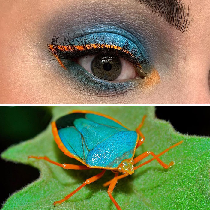 Artist Shows The Beauty Of Insects With Her 30 Matching Eye Makeup Looks Artist Shows The Beauty Of Insects With Her 30 Matching Eye Makeup Looks