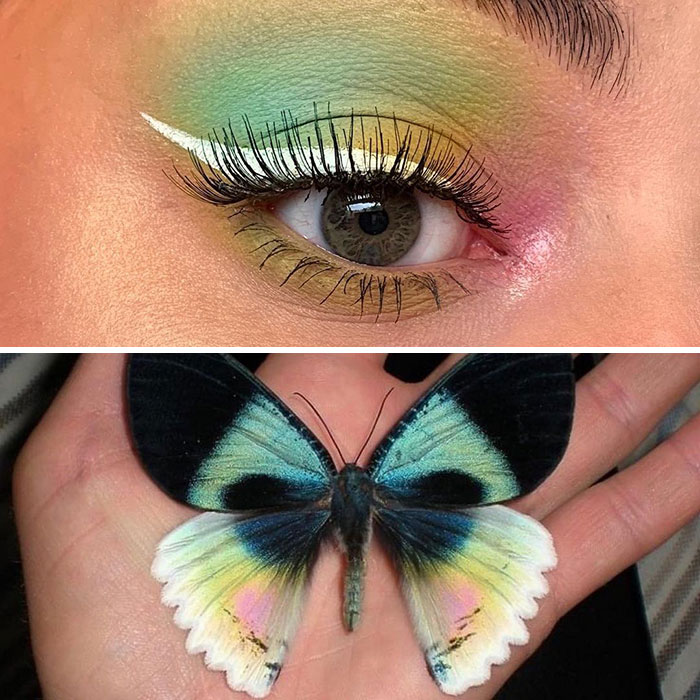 Artist Shows The Beauty Of Insects With Her 30 Matching Eye Makeup Looks Artist Shows The Beauty Of Insects With Her 30 Matching Eye Makeup Looks