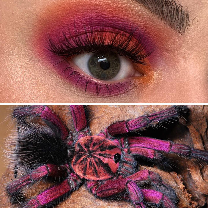 Artist Shows The Beauty Of Insects With Her 30 Matching Eye Makeup Looks Artist Shows The Beauty Of Insects With Her 30 Matching Eye Makeup Looks