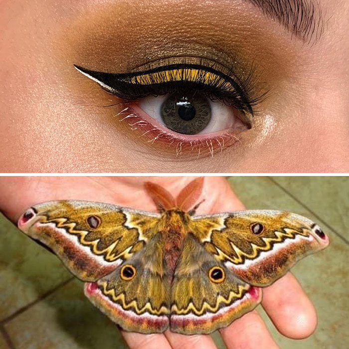 Artist Shows The Beauty Of Insects With Her 30 Matching Eye Makeup Looks Artist Shows The Beauty Of Insects With Her 30 Matching Eye Makeup Looks