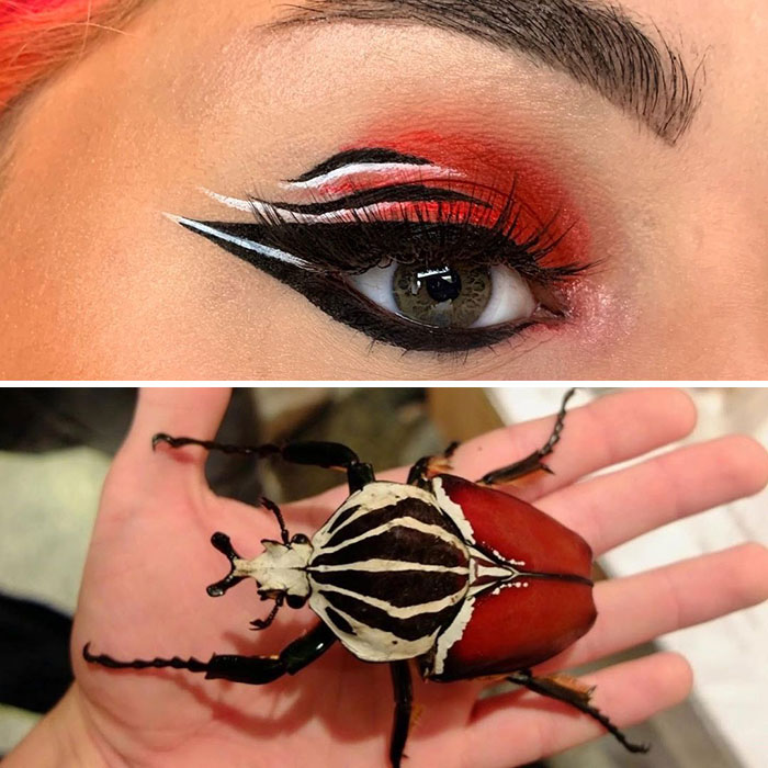 Artist Shows The Beauty Of Insects With Her 30 Matching Eye Makeup Looks Artist Shows The Beauty Of Insects With Her 30 Matching Eye Makeup Looks
