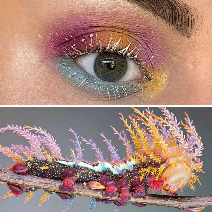 Artist Shows The Beauty Of Insects With Her 30 Matching Eye Makeup Looks Artist Shows The Beauty Of Insects With Her 30 Matching Eye Makeup Looks