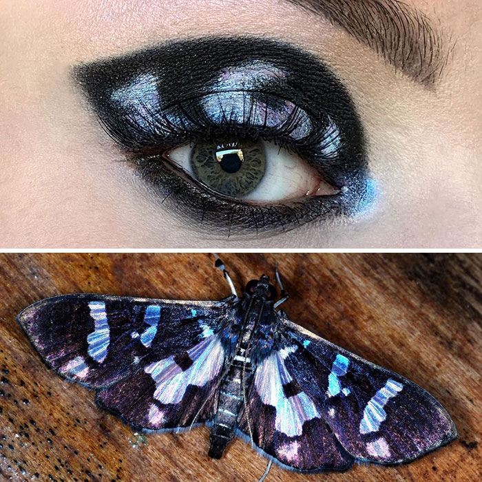 Artist Shows The Beauty Of Insects With Her 30 Matching Eye Makeup Looks Artist Shows The Beauty Of Insects With Her 30 Matching Eye Makeup Looks