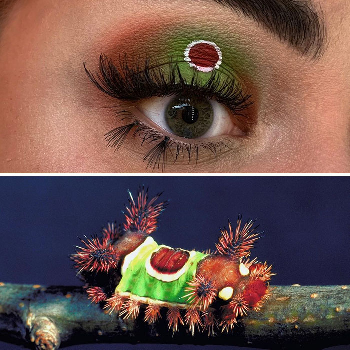 Artist Shows The Beauty Of Insects With Her 30 Matching Eye Makeup Looks Artist Shows The Beauty Of Insects With Her 30 Matching Eye Makeup Looks