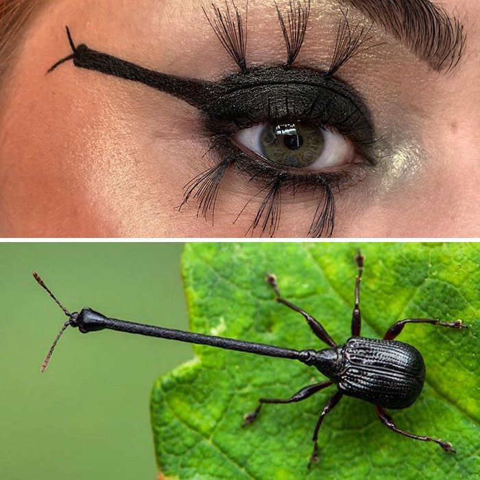 Artist Shows The Beauty Of Insects With Her 30 Matching Eye Makeup Looks Artist Shows The Beauty Of Insects With Her 30 Matching Eye Makeup Looks