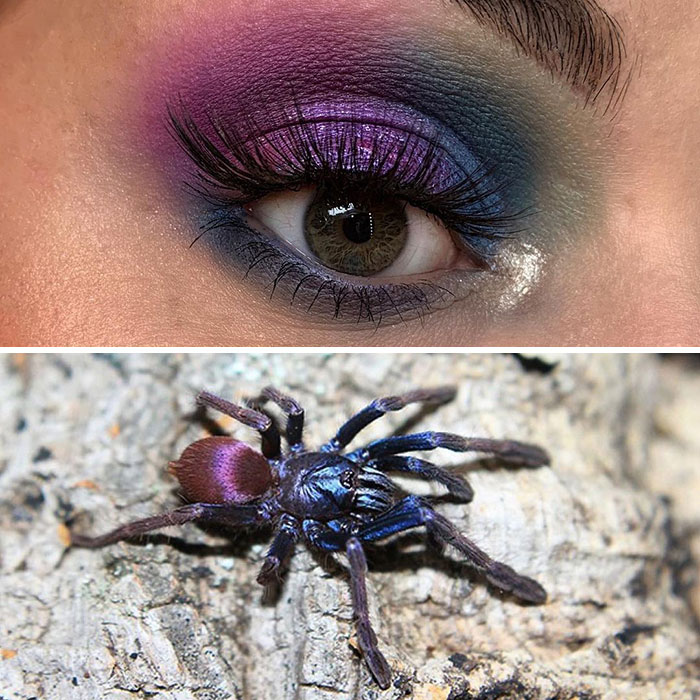 Artist Shows The Beauty Of Insects With Her 30 Matching Eye Makeup Looks Artist Shows The Beauty Of Insects With Her 30 Matching Eye Makeup Looks